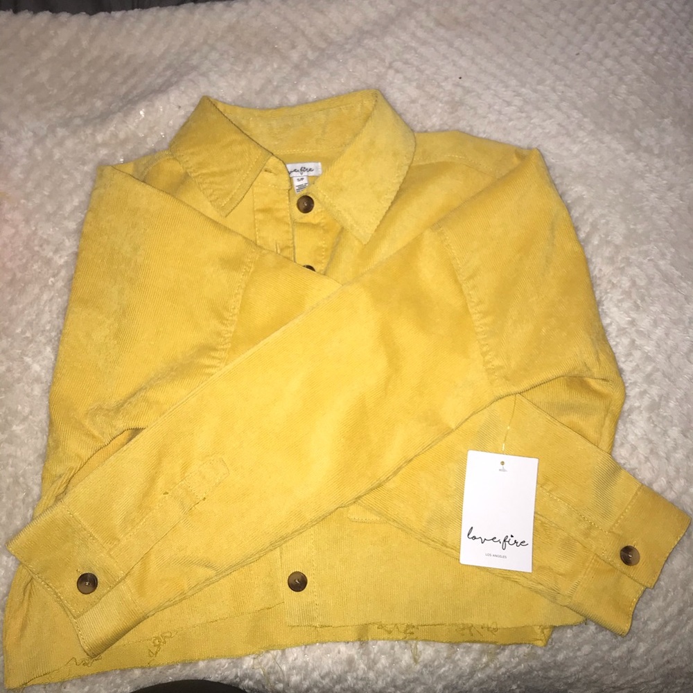 Yellow jacket - Picture 2 of 4